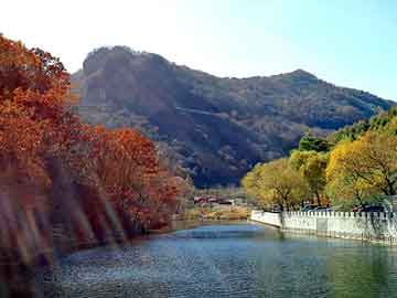 新澳天天开奖资料大全旅游团，小型食用油加工设备